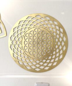 Armonizador Geométrico para pared "Flor/Toroide"